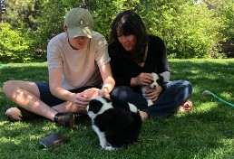 Pups with Ben and Rebecca