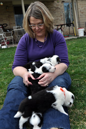 Neva's lap full of puppies