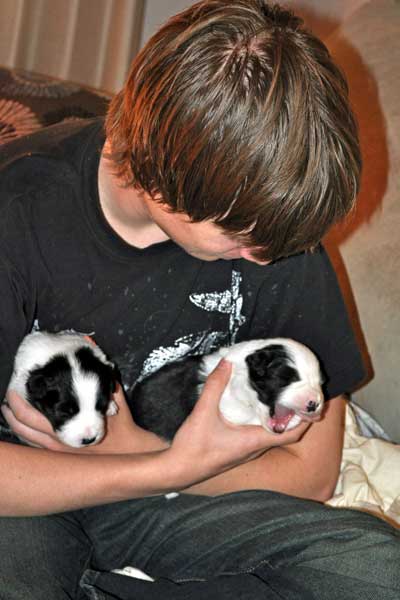 Two pups with Connor