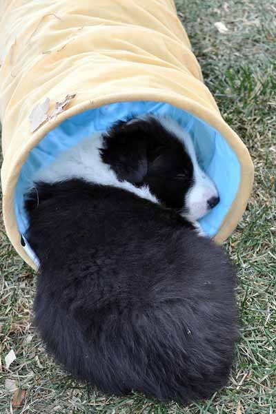 Napping in the tunnel