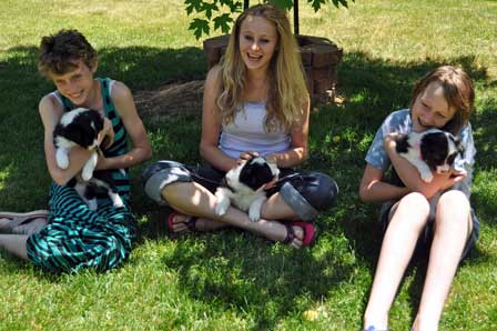 Alyssa, Ashley, Madison and pups