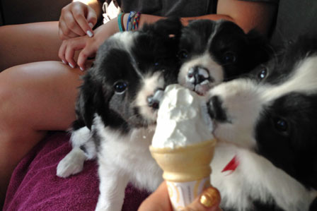 Sharing a cone in the car