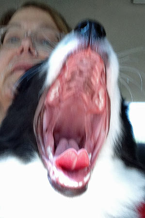 Red's selfie of a big yawn
