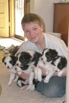 Connor holds all 5 pups!