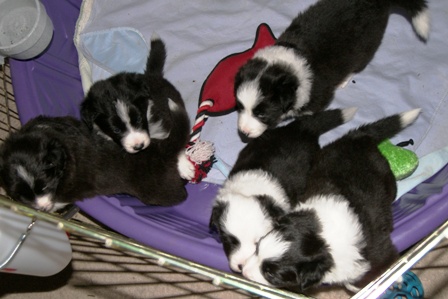 Group in the play pen