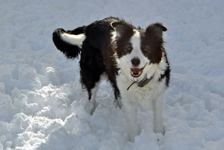 Clodagh loves snow!