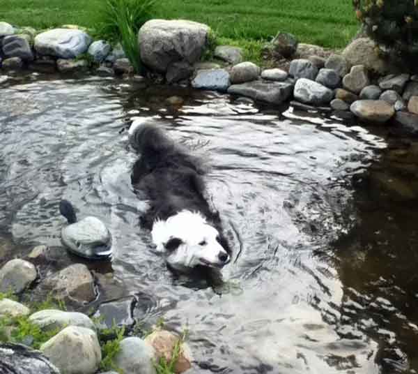 Kyler 8 years cooling off