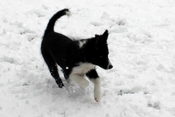 Orion's first snow