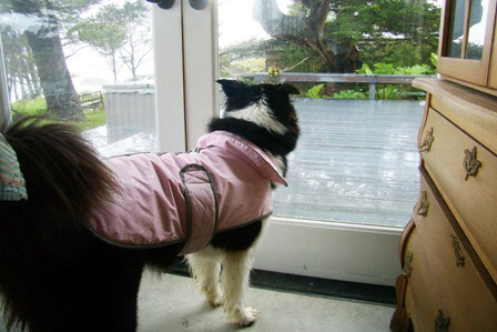Nava in her raincoat