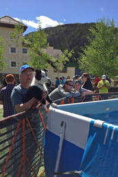 Buzz and Dad watch dock diving in Vail