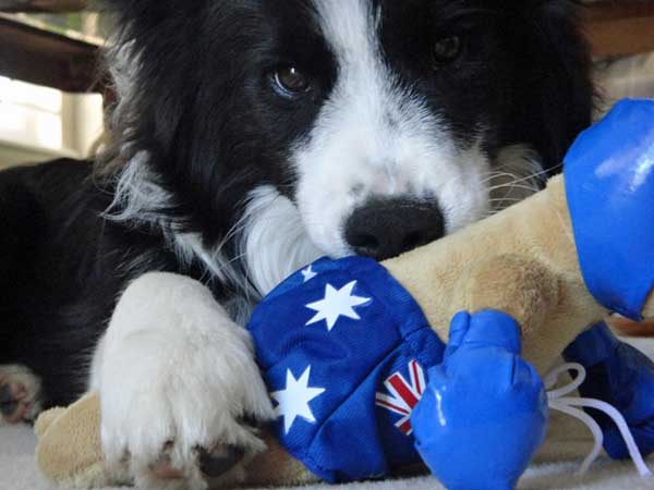 Collin with his Roo toy