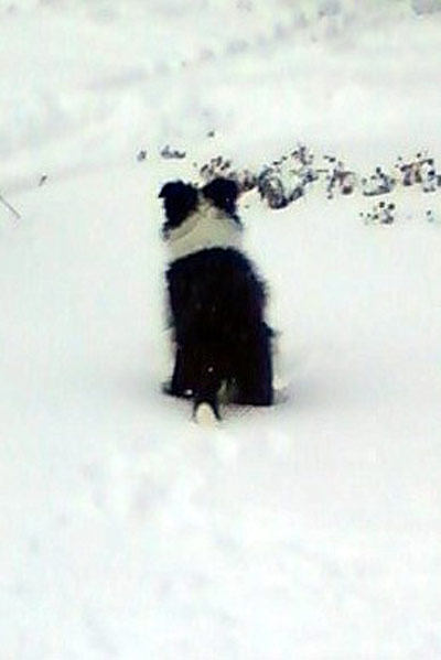 Eibhleann in the snow