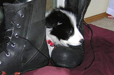 Eibhleann loves Dad's boots