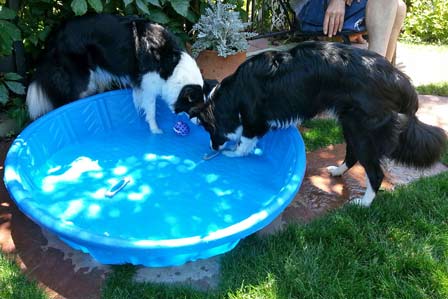 Eibhleann and Quinn enjoy their pool