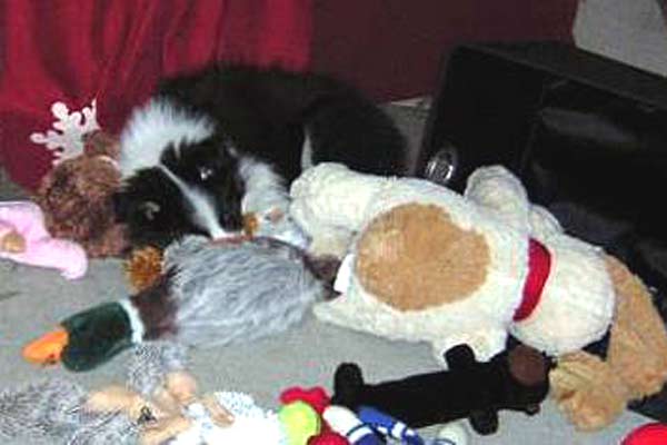 Eibhleann sleeping amid her toys