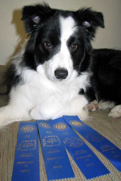 Ellie and 4 ribbons