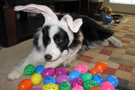 Ellie Easter eggs