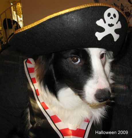Jake the Pirate