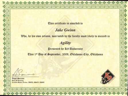 Jake's Agility certificate