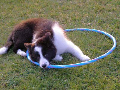 Nava and her hoop