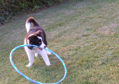 Nava loves her hoop