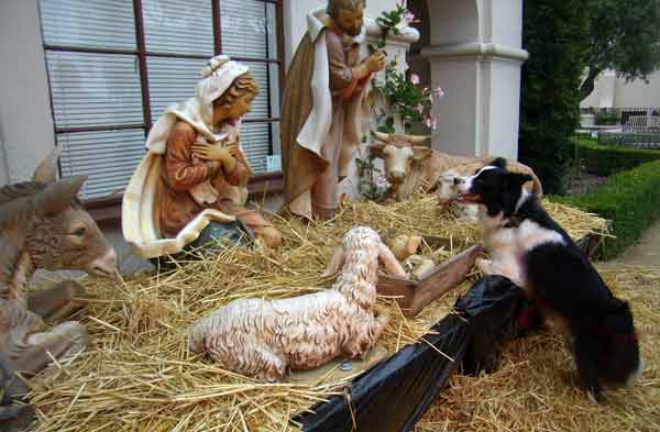 Nava at the Nativity