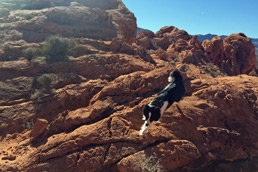 Nava on an adventure at Valley of Fire National Park, Nevada