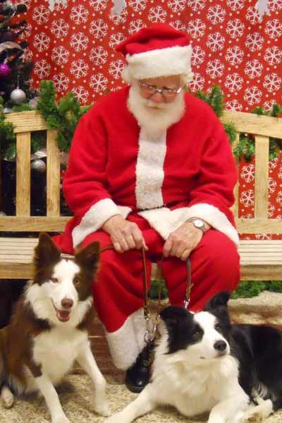 Molly, Santa and Rocky