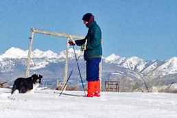 Zoomie cross-country skiing