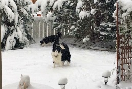 Nash & Chloe in early May snowstorm