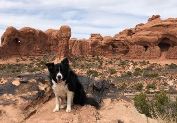 Murphy in Moab