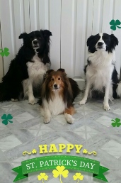 St. Patricks Day from Orion and Hailey