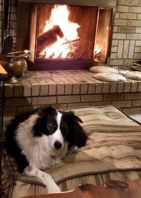 Aoife enjoys a fire, November 2018