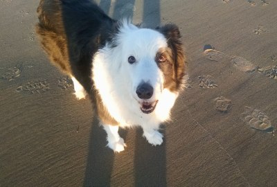 Kyler on the beach